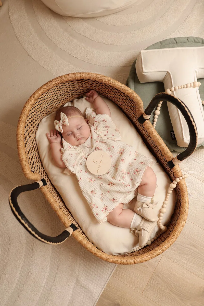 Couffin Pour Bébé Par, Couffin Portable, Cadeau idéal Pour UNE Baby Shower, Moses Basket